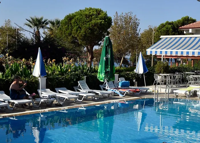 Cidihan 3*